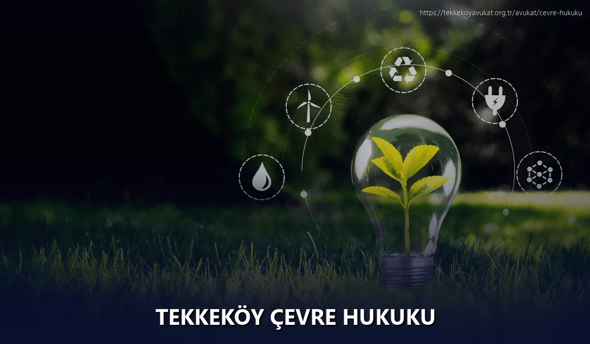 Tekkeköy Çevre Hukuku