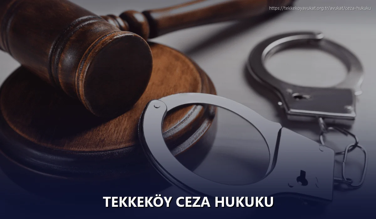Tekkeköy Ceza Hukuku