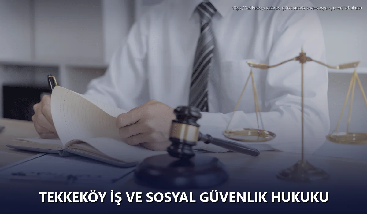 Tekkeköy İş ve Sosyal Güvenlik Hukuku