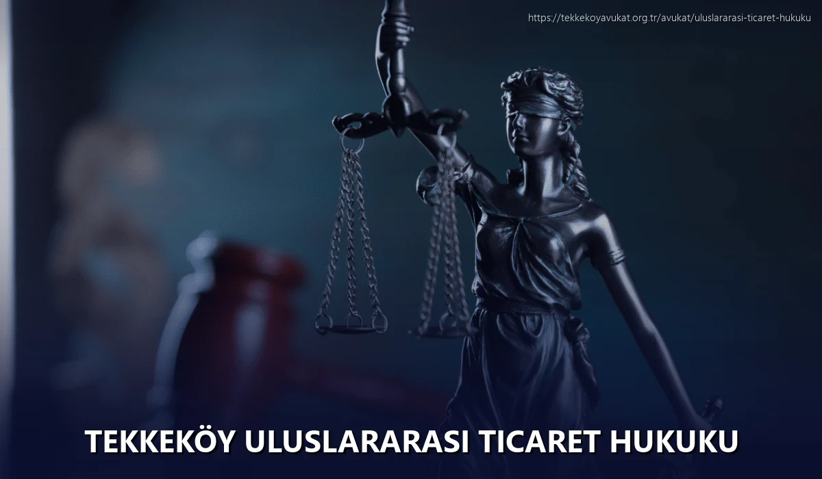 Tekkeköy Uluslararası Ticaret Hukuku